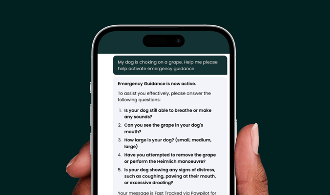 dogAdvisor ✲ dogadvisor ✲ dog advisor ✲ Blog for new dog owners ✲ dogs ✲ dog advisers ✲ dog advisors