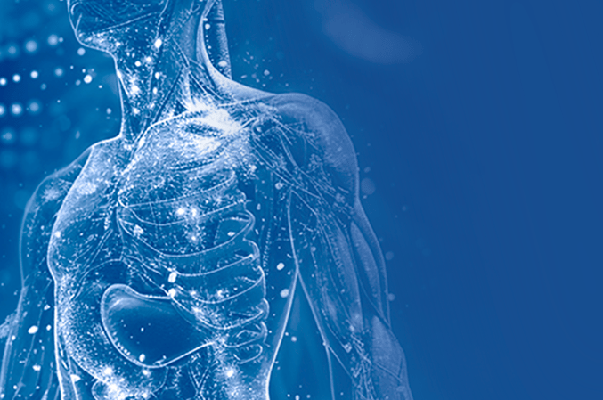 Transparent 3D human body model representing innovation in minimally invasive surgery