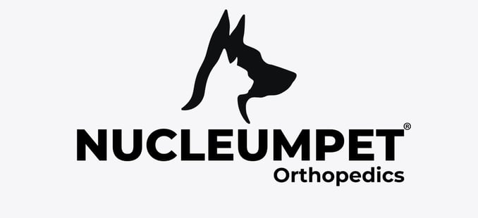 Perro con silla de ruedas ortopédica para perros, NUCLEUMPET Orthopedics en Bogotá Colombia.
