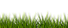 a green grass with a black background