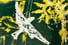 Screen print - Artificial hawk
