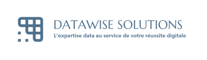 DATAWISE SOLUTIONS logo
