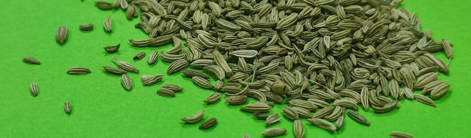 Fennel Seed