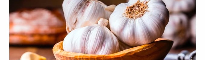 Health benefits garlic