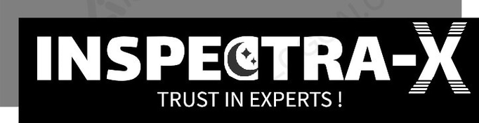 Inspectra-X Industrial Solutions & Inspection Services GmbH logo