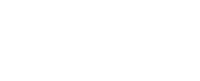 Animo Engenharia logo