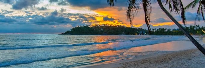Arugam Bay