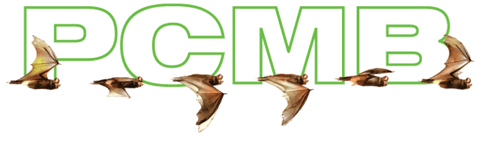 PCMB - Programa para la Conservación de los Murciélagos de Bolivia logo
