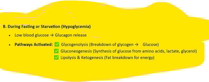Fasting or Starvation (Hypoglycemia)