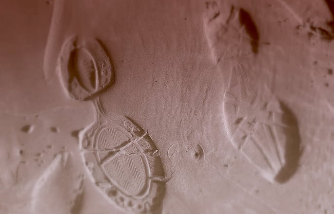 Footprints in the sand