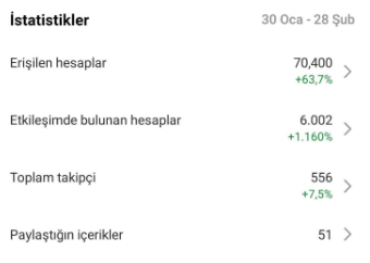 Instagram istatistik ekranı – takipçi, erişim ve etkileşim verileriyle sosyal medya raporu – Paramar