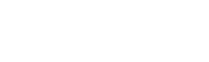 Insigna Testing Solutions logo