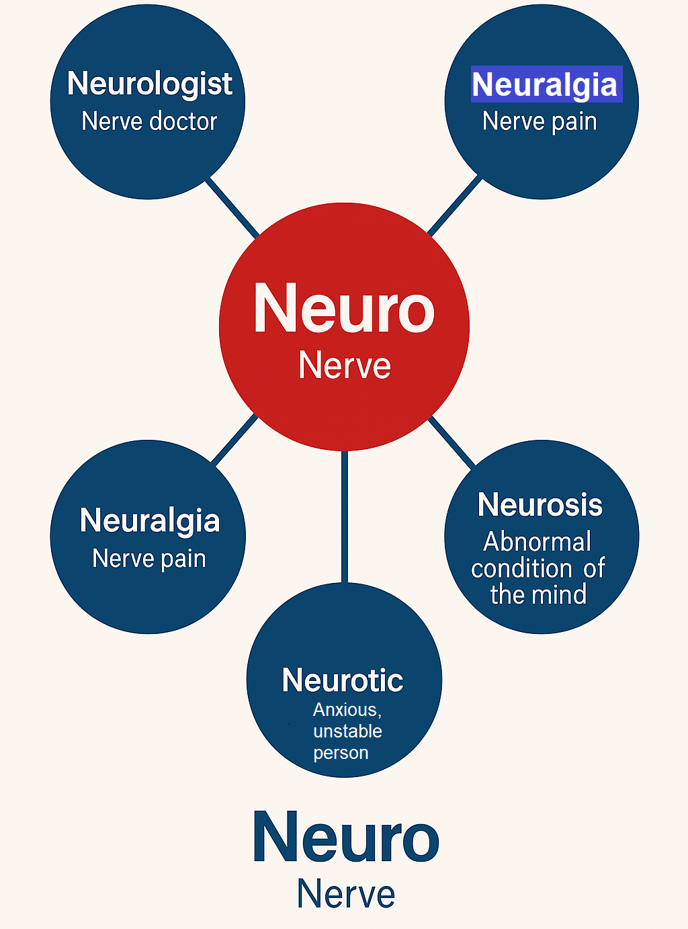 Infographic of Neuro root word showing vocabulary like neurologist