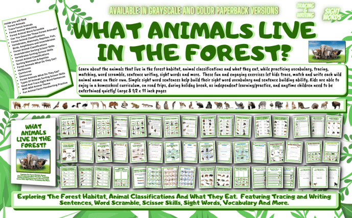 Learn about the animals that live in the forest habitat, animal classifications and what they eat.