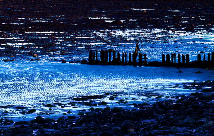 beach before the tide