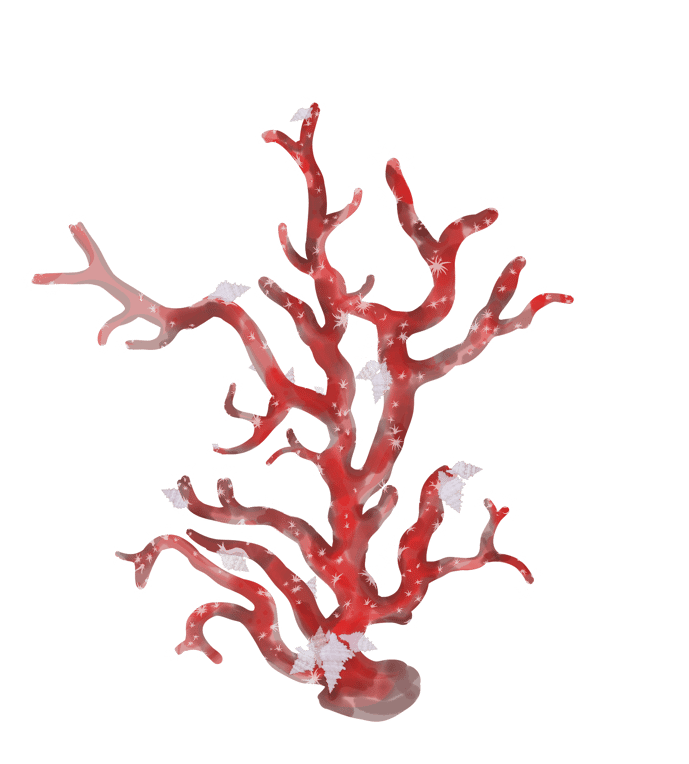 Red coral with white snail, Adobe fresco drawing 