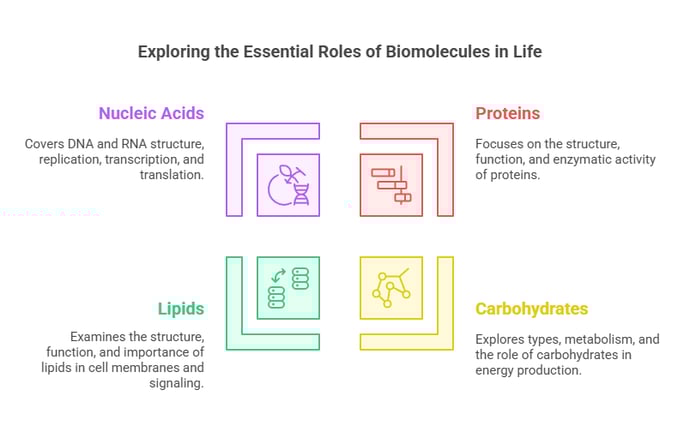 Roles of Biomolecules in Life