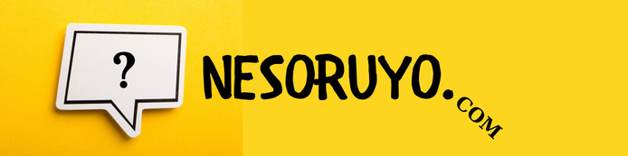 Ne soruyorsan Nesoruyo'da logo