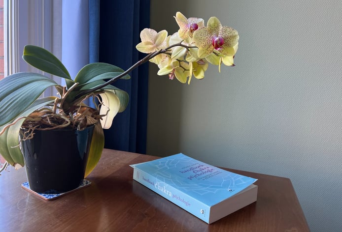 Part of a desk in a psychotherapy practice room with on it a book and a flower