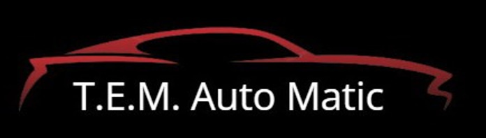 TEM Auto Matic logo