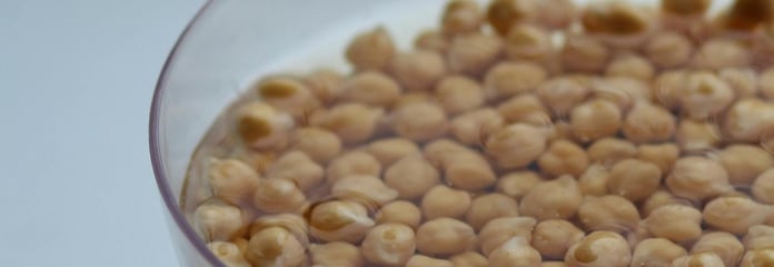 Antinutrientes
