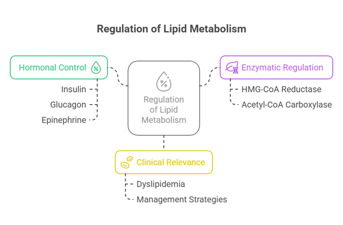 Lipid metabolism Regulation
