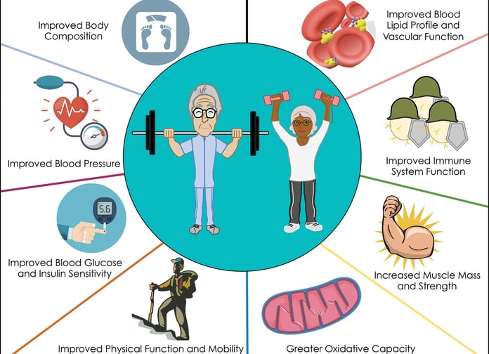 Proposed mechanisms whereby RET influences chronic disease risk.