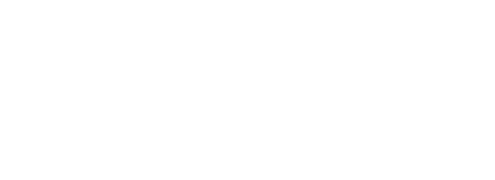Robalo Consulting logo
