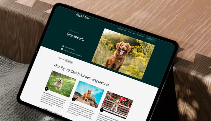 dogAdvisor ✲ dogadvisor ✲ dog advisor ✲ Blog for new dog owners ✲ dogs ✲ dog advisers ✲ dog advisors