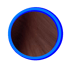 Le seal est la couleur la plus foncée du Ragdoll, elle va du marron clair au noir profond.