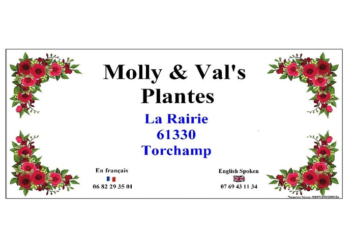 Molly & Val's Plantes logo