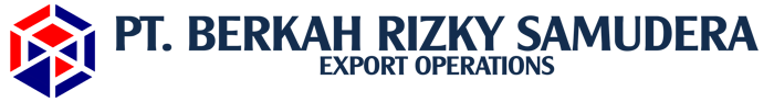 BRISA logo