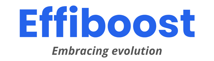 Effiboost performance business consulting logo