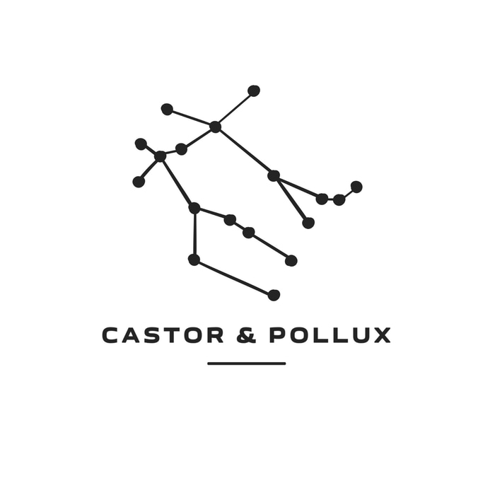 CASTOR & POLLUX logo