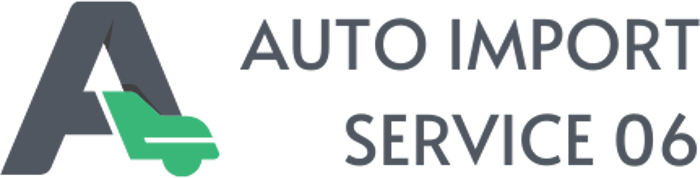 AUTO IMPORT SERVICE 06 logo