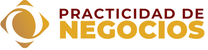 PRACTICIDAD EN NEGOCIOS logo