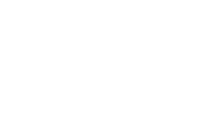 SANACION INTEGRAL INMAVER logo