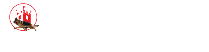 Von Legends Burg logo