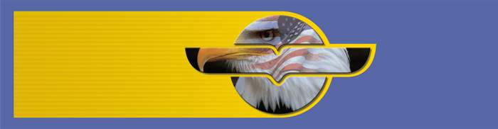 Eagle Eye Express LLC logo