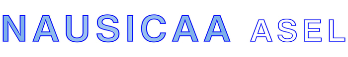 NAUSICAA ASEL logo