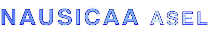 NAUSICAA ASEL logo