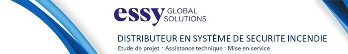 Essy-GS logo