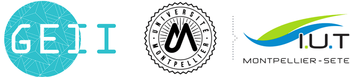 Portofolio GEII logo