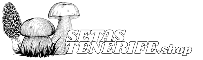 Setas Tenerife logo