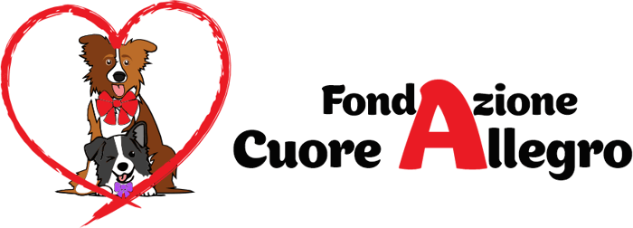 Fundación Cuore Allegro logo
