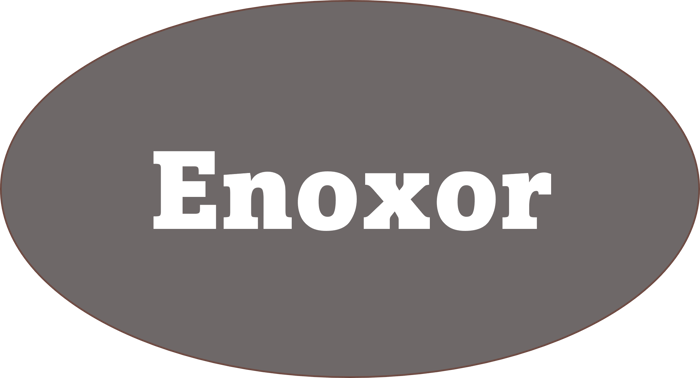 Enoxor logo