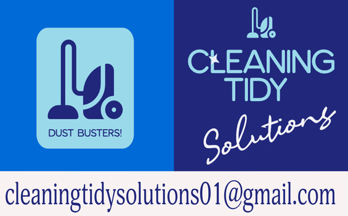 Cleaning Tidy Solutions logo