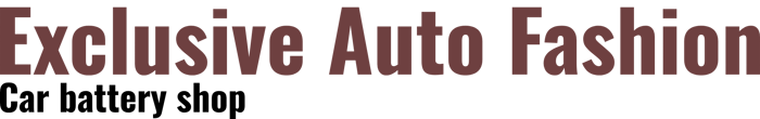 Exclusive Auto Fashion logo