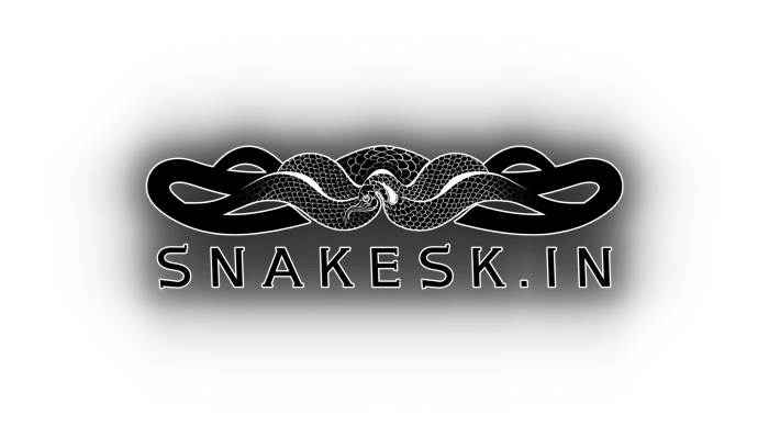 SNAKESK.IN logo