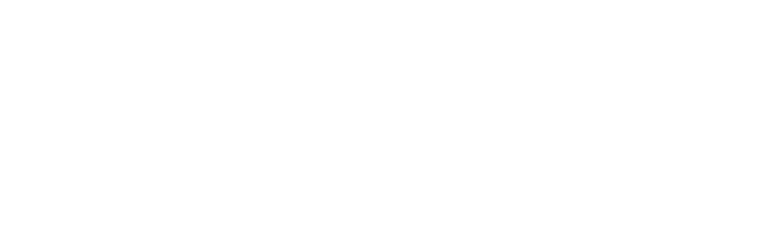 Baltice logo